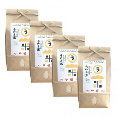 ふるさと納税 雲南市 【無洗米】神話の里/吉田町「うやま米」つや姫 8kg(2kg×4) |  | 01