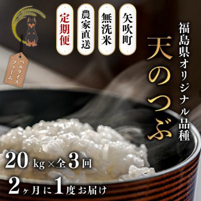 ふるさと納税 矢吹町 【発送月固定定期便】【2025年11月より順次発送予定】無洗米 農家直送 天のつぶ 20kg全3回