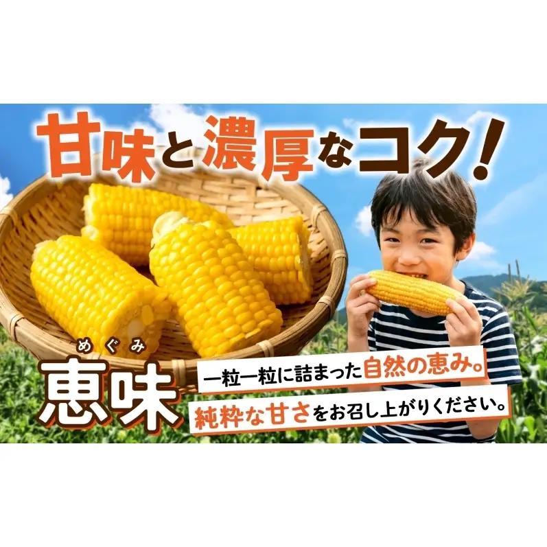 とうもろこし 北海道産 恵味 朝もぎ 2Lサイズ とうもろこし【13本 約5kg】