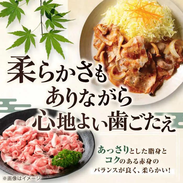 【全6回定期便】平田牧場 切り落とし 1kg (500g×2P)  豚肉 切り落とし 小分け [AJAP032]