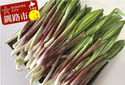 釧路産・天然 鮮度そのまま行者にんにく 250g×2 F4F-0539