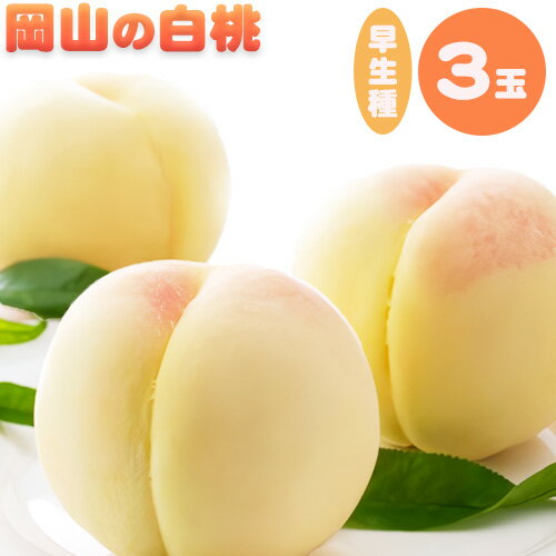 【ふるさと納税】【2026年先行予約】 岡山の白桃 早生種 3玉 約840g 晴れの国 おかやま館(つむぐ株式会社) 《2026年6月下旬-7月中旬頃出荷》岡山県 浅口市 フルーツ モモ 果物 青果 旬【配送不可地域あり】（離島）