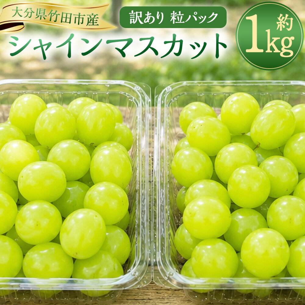【ふるさと納税】【数量限定】粒パック 訳あり シャインマスカット 約1kg （2パック） ぶどう ブドウ 葡萄 マスカット フルーツ 果実 果物 フルーツ 国産 訳あり 大分県 竹田市 送料無料【2026年8月下旬～11月上旬発送開始予定】