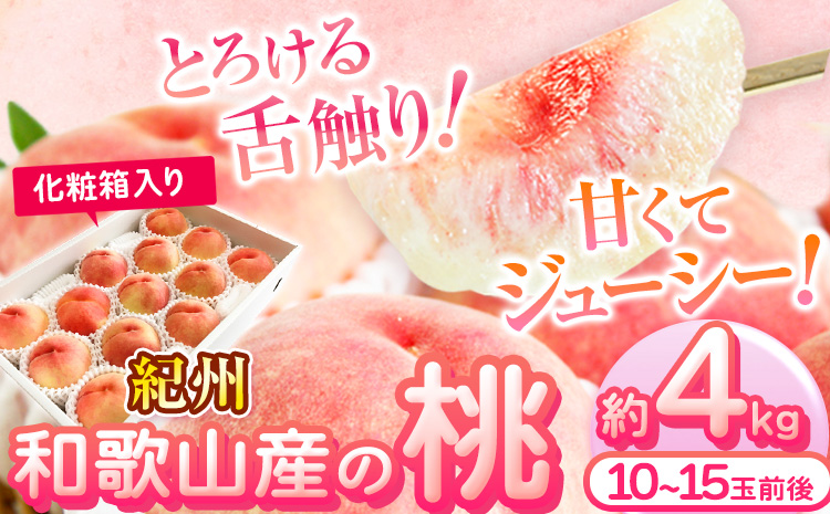 紀州 和歌山産 の 桃　約 4kg 10〜15玉　化粧箱入 株式会社魚鶴商店 《2027年6月下旬-8月上旬より発送予定》 和歌山県 日高町 桃 もも モモ 果物 くだもの---wsh_cuot116_6g8j_25_29000_4kg---