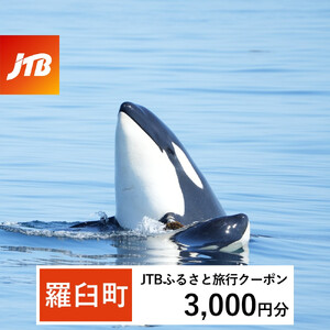 【羅臼町】JTBふるさと旅行クーポン（3,000円分）有効期間3年（Eメール発行）｜旅行 トラベル 予約 国内旅行 JTB 宿泊 観光 体験 旅行券 宿泊券 旅行予約  ホテル 旅館 チケット 子供 子連れ カップル 家族 人気 おすすめ 旅行クーポン 店頭 オンライン ネット予約 電話 有効期間3年
