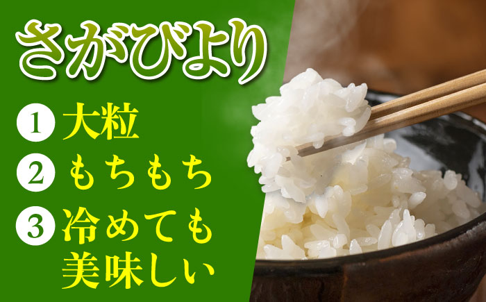 【全5回定期便】令和7年産 ななしま家 さがびより5kg×2袋 / 白米 米 特別栽培 / 佐賀県 / 有限会社七島農産 [41AHAC008]