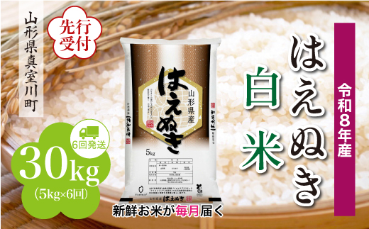 ＜令和8年産米先行受付＞ 真室川町産 はえぬき 【白米】 定期便 30kg （5kg×1ヶ月間隔で6回お届け）＜配送時期指定可＞