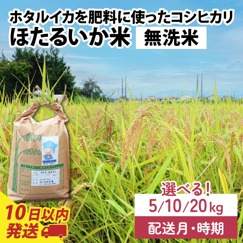 【ふるさと納税】【訳あり】ほたるいか米 無洗米 選べる容量（5kg／10kg／20kg）選べる配送時期（1月～12月※各月上旬／中旬／下旬）通年発送 9月より新米 農家直送 訳あり お米 おこめ こしひかり コシヒカリ ホタルイカ 富山 滑川市 国産 コンシェルジュ 5キロ 10キロ