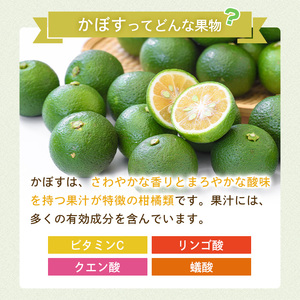 かぼす(5kg)柑橘 かんきつ 大分県産直【112600100】【ａｎｄＫ】