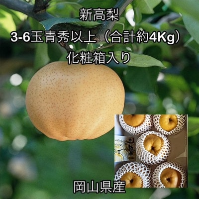 【2026年発送】岡山県産 新高梨 3～6玉 青秀以上(約4kg)化粧箱入り【配送不可地域：離島】【1710844】