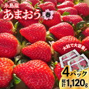 【ふるさと納税】【先行予約】(農家直送！) 糸島産 春 あまおう 280g × 4パック (DXまたはGサイズ) 【2025年1月下旬より順次発送】糸島市 / 後藤農園 [AML002] いちご イチゴ 苺 14000円 ギフト