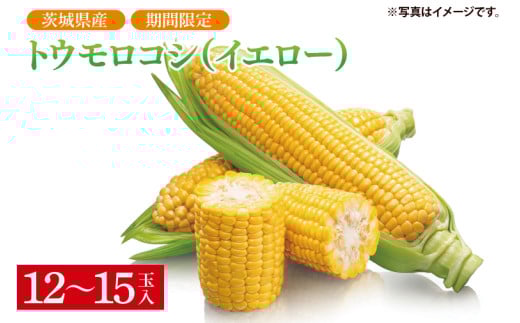 【先行予約】トウモロコシ（イエロー）（12～15本入）【山崎農園】（2025年6月上旬～7月下旬頃にお届け）【とうもろこし コーン 甘い おいしい 茨城県 阿見町】（70-04-1）