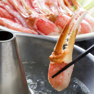 【ふるさと納税】本ずわい蟹 爪・肩肉食べ比べセット 1kg　各500g　カニ鍋・焼きガニ【配送不可地域：離島】【1750955】