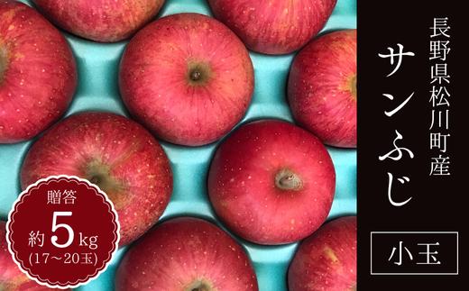 KR16-25A りんご サンふじ 贈答【小玉】 約5kg（17～20玉） / 11月下旬頃～配送予定 // 先行予約 長野県 南信州 リンゴ 林檎 ギフト ふじ さんふじ 小玉サイズ 農家直送 農家支援 産地直送