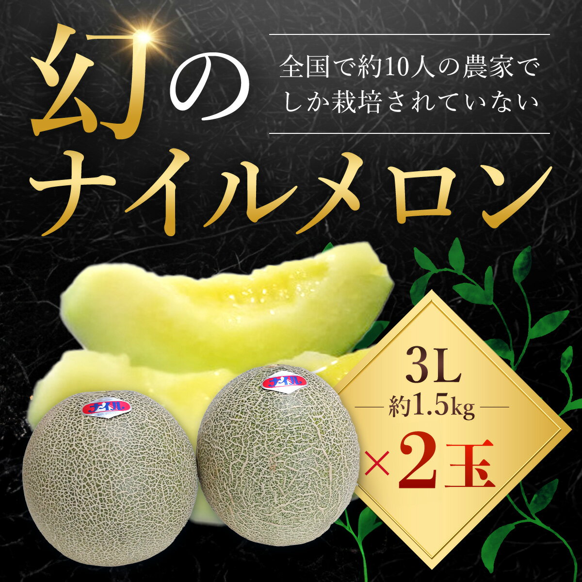 【ふるさと納税】【先行予約】【6月中旬頃から発送】幻のナイルメロン 全国で10人ほどの農家でしか栽培されていない幻のメロン 約1.5kg×2玉 / メロン ナイルメロン 幻のメロン 甜瓜 青肉 青肉メロン 千葉県 山武市 SMAE001