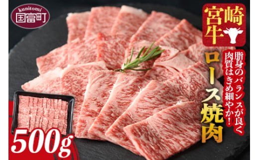 ＜宮崎牛ロース焼肉 500g＞【 牛 牛肉 肉 黒毛和牛 ステーキ 贅沢 高級 パーティー 誕生日 特別 お祝い ギフト 贈答 国産 焼肉 BBQ 焼き肉 肉好き ミヤチク 】翌々月までに順次出荷