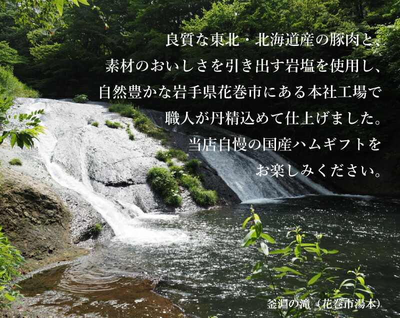 ”花巻の郷” 2本セット ～ロースハム・焼豚～ ／ 国産 ギフト ハムギフト 贈り物 ハムブロック 焼豚 のしOK 【320】_イメージ3