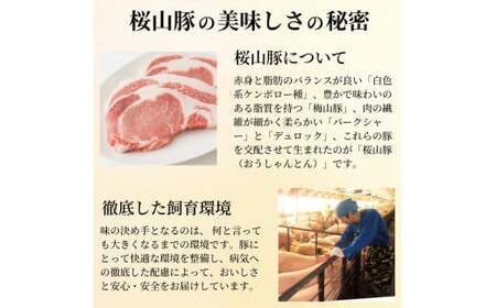 滝沢ハム 桜山豚ロース 味噌漬け 8点詰合せセット 山寺味噌漬 西京味噌漬 冷凍便 | 味付け肉 豚肉