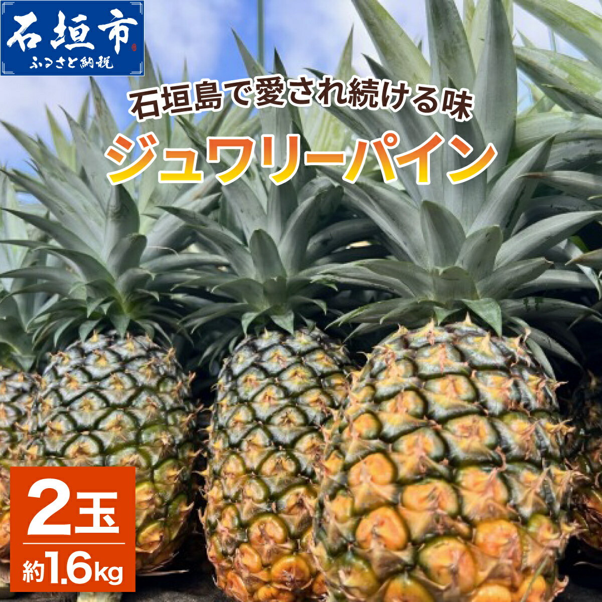 【ふるさと納税】＜期間限定 春フェア＞《2026年5月下旬〜7月中旬発送》お試し用 石垣島産ジュワリーパイン 2玉 約1.4kg | 沖縄県 石垣市 石垣島 完熟 パイン パイナップル ジュワリー 予約受付