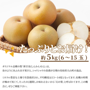 DS-03　新甘泉梨（５ｋｇ）
