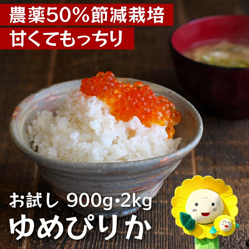 【ふるさと納税】 ゆめぴりか 令和7年産 新米 お試し 6合(900g) ・ 2kg / 白米 ごはん こめ 北海道米 ※10月中旬～順次発送 //rice