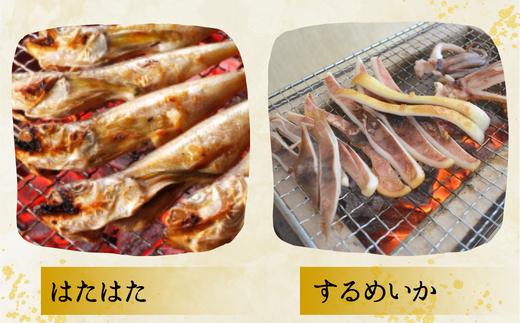 【干物 日本海一夜干しセット ノドグロ2枚、エテカレイ5枚、ハタハタ7尾、スルメイカ2枚 干物の本場 香住産 冷凍】日本海の旬の干物が大集合です。伝統の技術 素材の良さ抜群 兵庫県 香美町  柴山 大