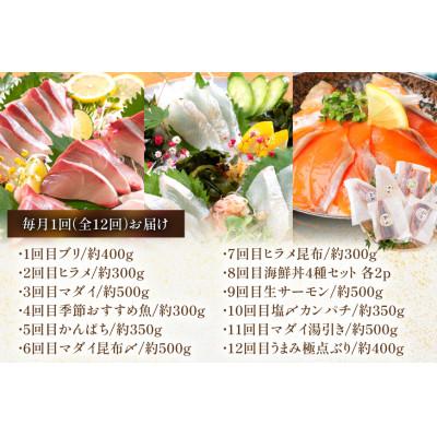 ふるさと納税 日向市 【毎月定期便】刺身 柵 旬のお刺身　全12回 |  | 01