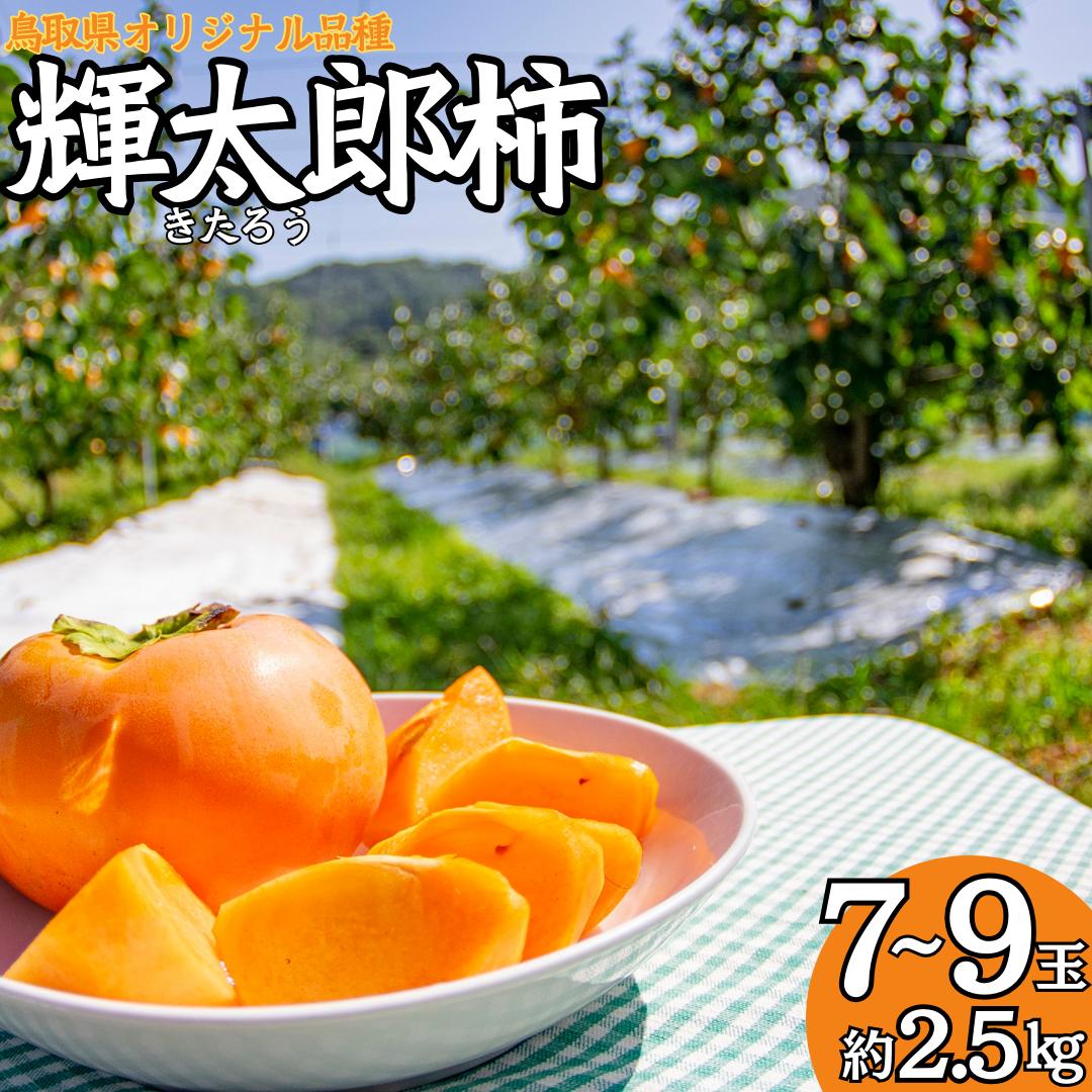 
                  21M.輝太郎柿7～9玉
                