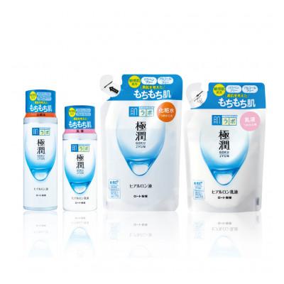 ふるさと納税 伊賀市 ロート製薬の【肌ラボ 極潤】化粧水+乳液4点セット(各ボトル+つめかえ用) |  | 03
