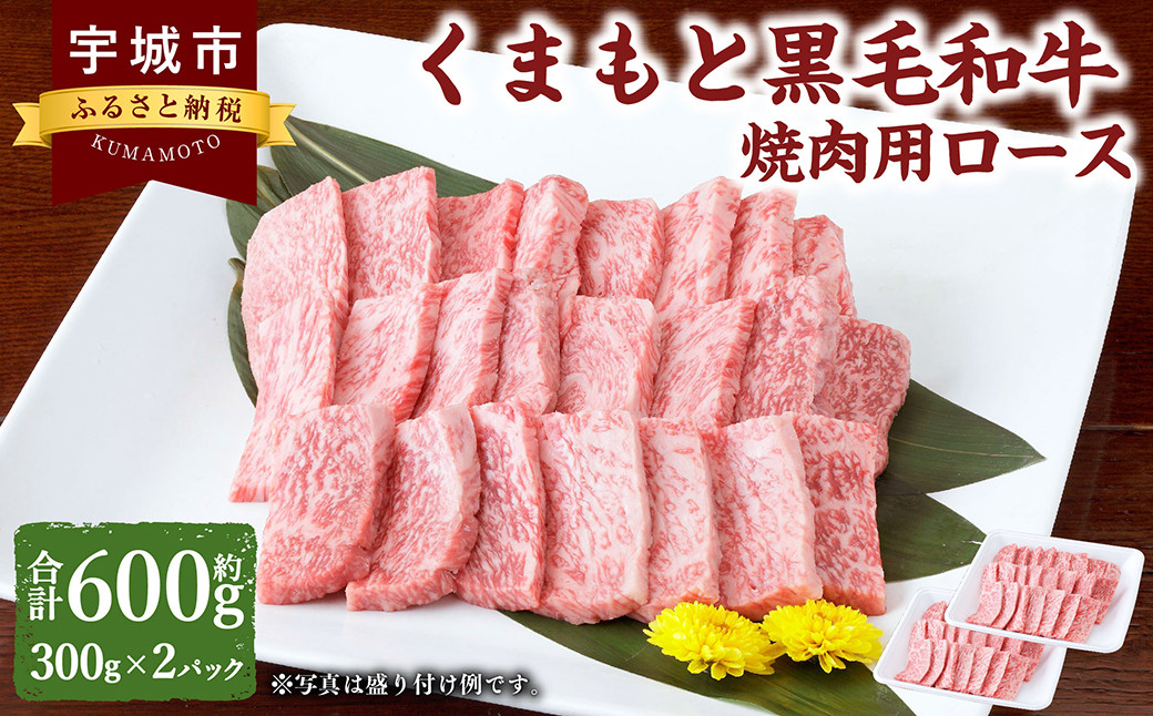 
くまもと黒毛和牛 焼肉用 ロース 600g （300g×2パック） 肉 お肉 牛 牛肉 和牛 焼肉 やきにく 焼き肉 熊本 冷凍
