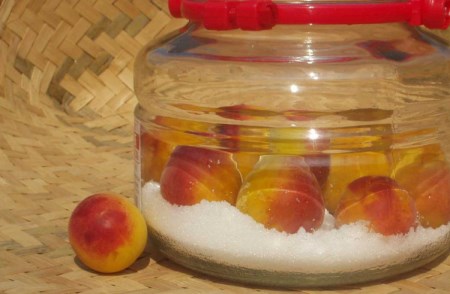 【梅干・梅酒用】（LまたはM－10Kg）熟南高梅＜2025年6月上旬～7月上旬ごろに順次発送予定＞【art013A】