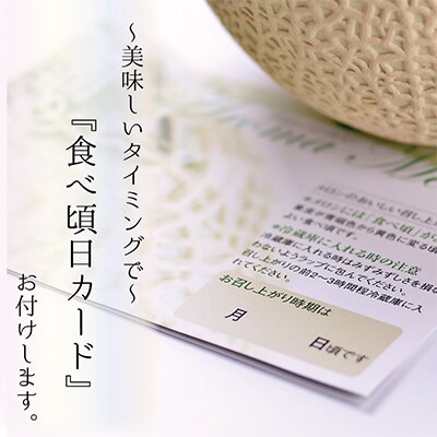 【毎月定期便】アローマメロン(白等級) 2玉 全6回【配送不可地域：離島・北海道・沖縄県】