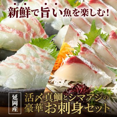 ふるさと納税 延岡市 延岡産活〆真鯛とシマアジの豪華お刺身セット