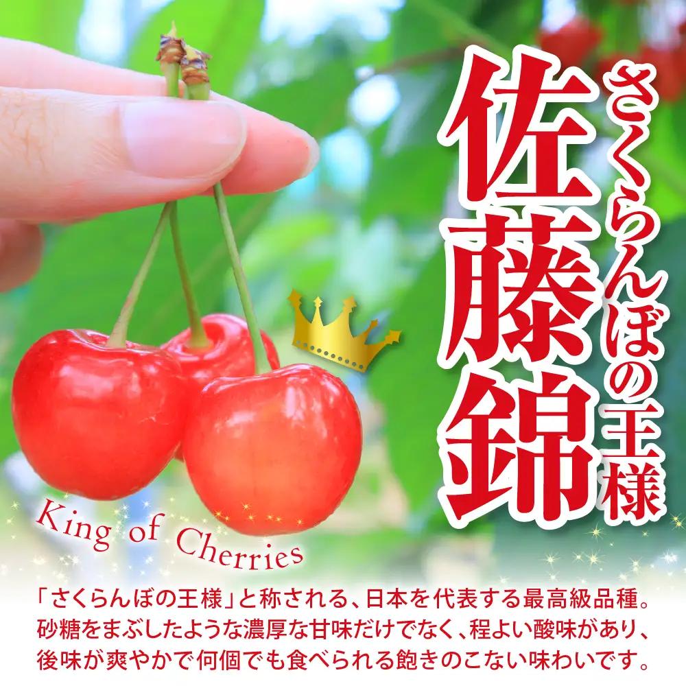 2027年産 さくらんぼ 佐藤錦 ご家庭用 720g さくらんぼ 