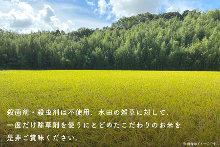 【先行予約】【2026年9月末より順次発送】【茨城県共通返礼品/潮来市】【12ヶ月定期便】栽培期間中出来るだけ農薬を減らしたかすみ米 10kg(玄米)　茨城県潮来市産