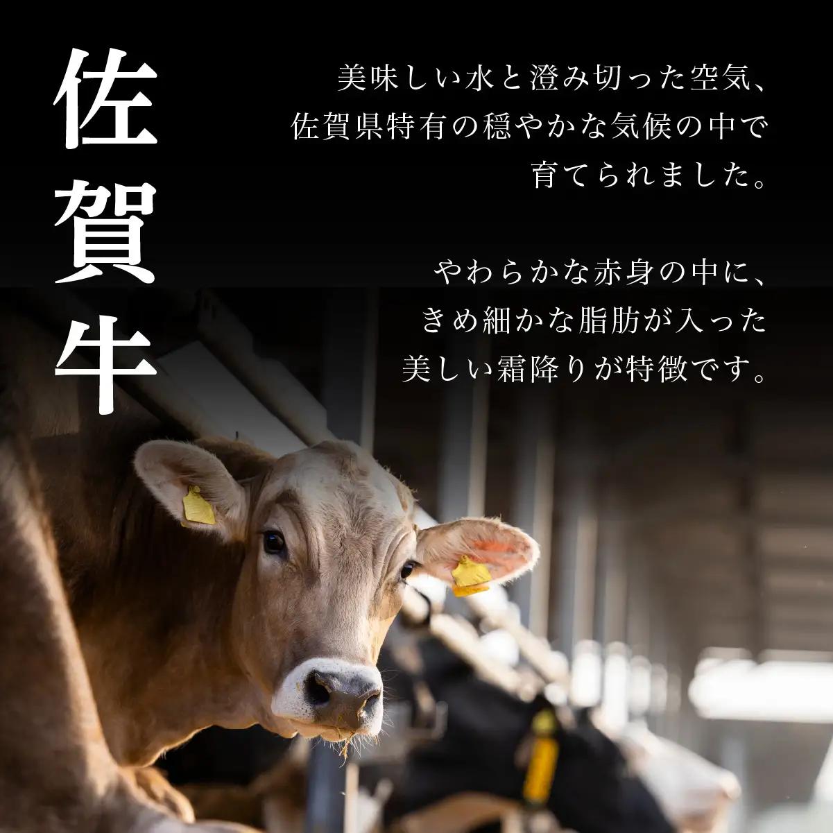 佐賀牛上カルビ 1kg (500g×2パック)