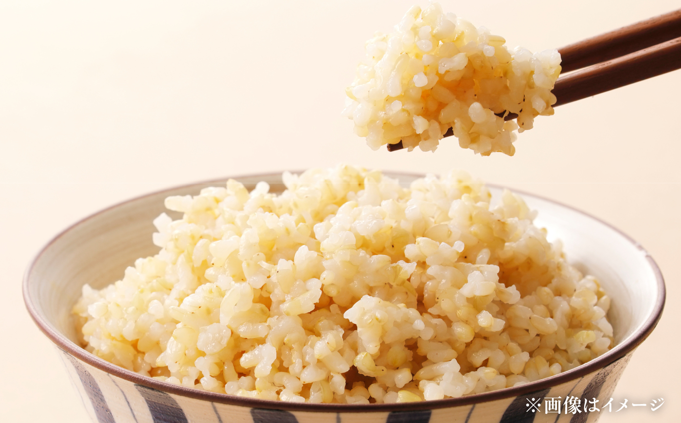 【令和8年産】【新米】農家直送！特別栽培米のななつぼし＆ゆめぴりか【玄米】10kg（5kg×2種） | 株式会社きしもとファーム [BOBB056]