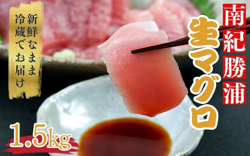 
                  水揚げ高日本一！ 南紀勝浦産 生まぐろ ブロック 約1.5kg マグロ まぐろ 鮪 赤身 ブロック 刺身 冷蔵【hor003A】
                