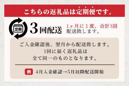 【 定期便3回 】ペット用 熊本加工 手作り 馬肉 ジャーキー 【100g×3回】 ドッグ フード ペット おやつ 食事 無添加 無香料 ヘルシー 高栄養 馬肉 ペット お肉専門店 熊本県 馬肉 国内加工 041-0510
