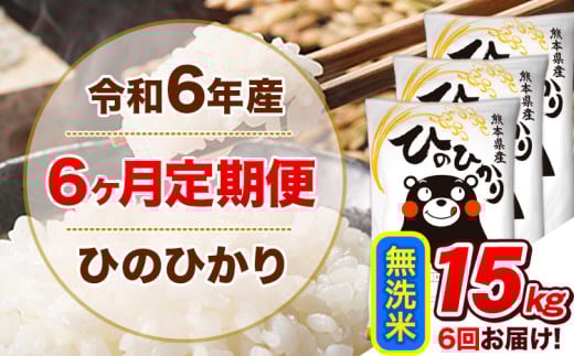 令和6年産 【6ヵ月定期便】 無洗米 ひのひかり 定期便 15kg 5kg×3袋《お申込み翌月から出荷開始》 熊本県産 精米 ひの 米 こめ ヒノヒカリ コメ お米