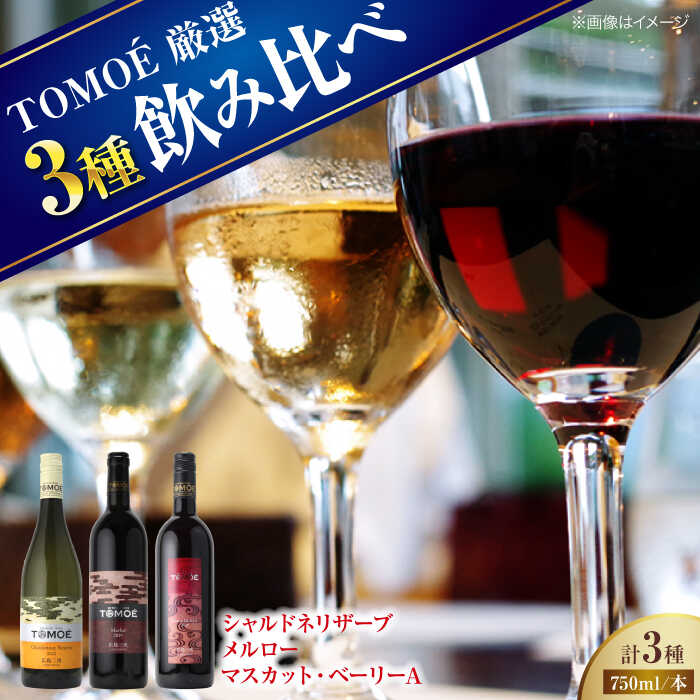 【ふるさと納税】【先行予約】【8月中旬から順次発送】厳選TOMOEワイン3本セット ワイン 受賞 飲み比べ ワインセット ギフト 三次市 / 広島三次ワイナリー[APAZ033]