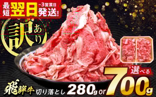 飛騨牛 切り落とし 700g 多治見市 / 飛騨牛 牛肉 和牛 養老ミート 冷凍 赤身 和牛 訳あり ギフト [THG001]