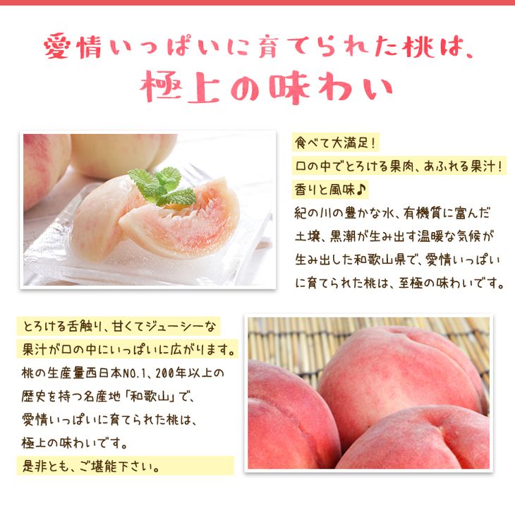【先行予約】【夏の美味】フルーツ王国　和歌山の桃　約２kg
※北海道・沖縄・離島への配送不可
※2025年6月中旬～7月下旬頃に順次発送予定（fr-06）
