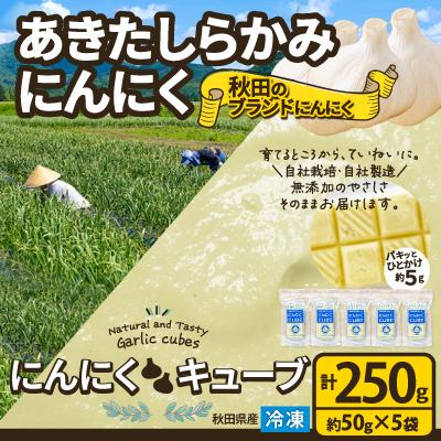 ふるさと納税 大館市 【あきたしらかみにんにく】にんにくCUBE 250g(1袋約50g×5袋)