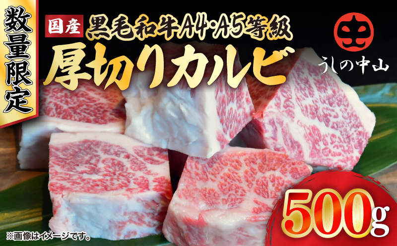 【数量限定】A4・A5等級 うしの中山黒毛和牛厚切りカルビ 500g（500g×1袋）