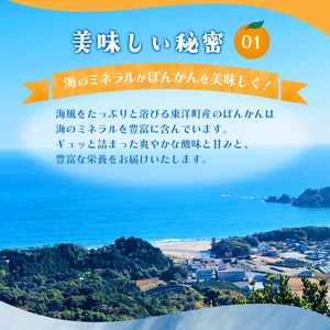 【先行予約】完熟ぽんかん＜3kg＞　F140 [F-01] 【株式会社フクチャンFARM】