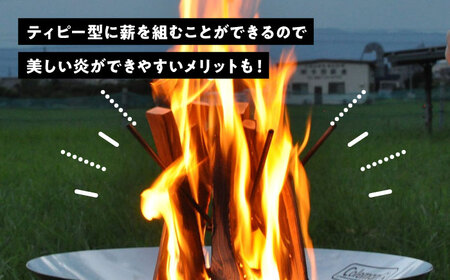 便利な薪立て　makitate  焚き火 アウトドア キャンプ 愛西市/有限会社 大伸 [AECA002]