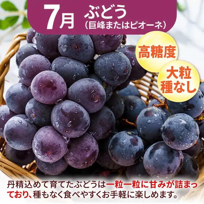 【先行予約2027年4月発送開始】【3回定期便】フルーツ定期便（びわ/ぶどう/シャインマスカット）果物 [AFAB025] 