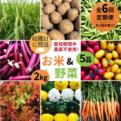 ふるさと納税 糸島市 【全6回定期便】☆畑直送☆限定!栽培期間中農薬不使用!お米2kg&amp;野菜5品セット[AGE037]