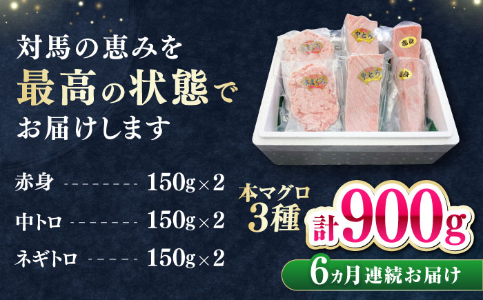 【全6回定期便】 対馬産 本マグロ 3種 計900g（赤身/中トロ/ネギトロ）《対馬市》【対海】 冷凍配送 食べ比べ 贈り物 魚介類 [WAH041]